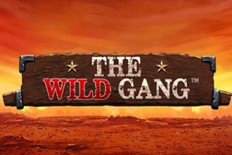 The Wild Gang